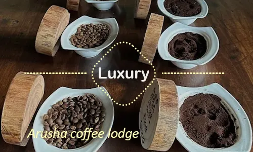 Arusha luxury safari travel Tanzania