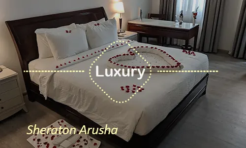 Sheraton Arusha departure comfort