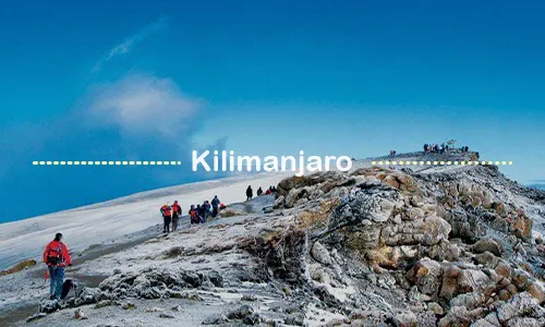 Kilimanjaro high-altitude trail