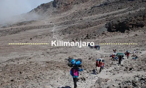 Kilimanjaro trekking team