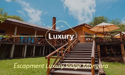 Lake Manyara luxury safari travel Tanzania