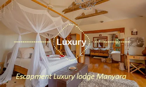 Lake Manyara luxury safari travel Tanzania