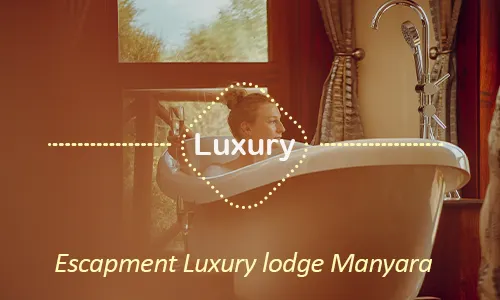 Escapement luxury lodge Manyara - Day 5