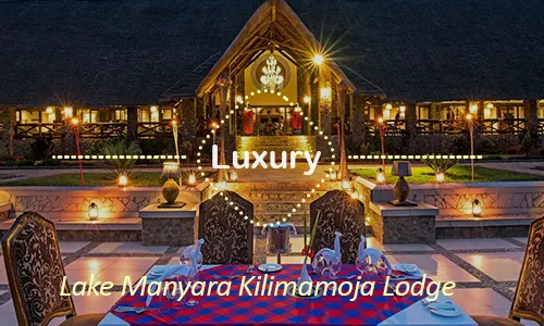Lake Manyara Kilimamoja Lodge - Luxury Safari Lodge