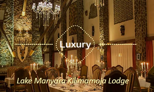 Lake Manyara luxury safari travel Tanzania