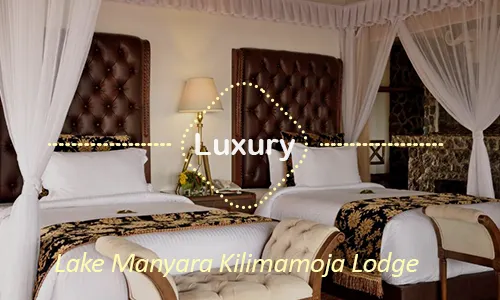 Lake Manyara luxury safari travel Tanzania