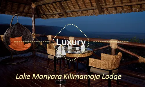 Lake Manyara luxury safari travel Tanzania