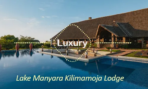 Lake Manyara luxury - Kilimamoja Lodge