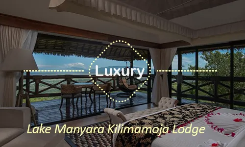 Luxury Kilimamoja Lodge Lake Manyara - Day 5