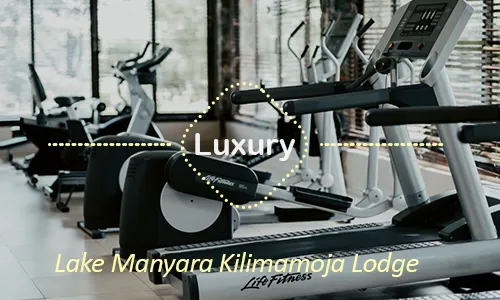 Lake Manyara luxury safari travel Tanzania