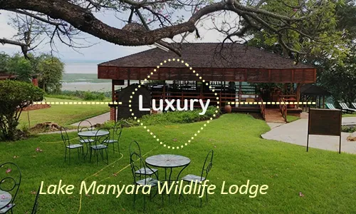 Lake Manyara Wildlife Lodge - family luxury