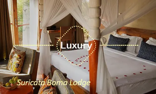 Suricata Boma Lodge - curated luxury
