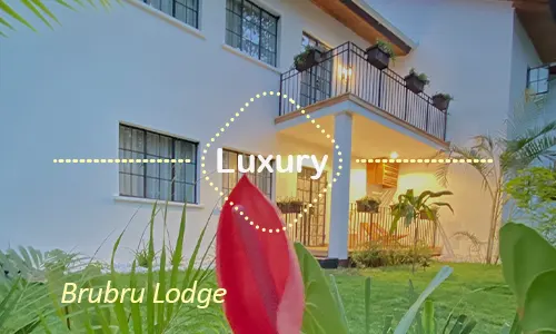Brubru Lodge - Elegant Arrival Suite