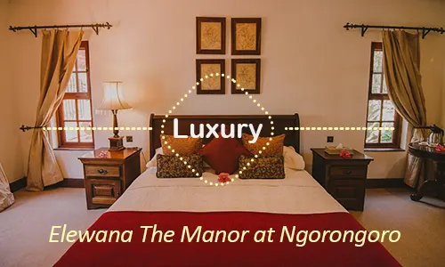Elewana The Manor at Ngorongoro - Premium Safari Experience