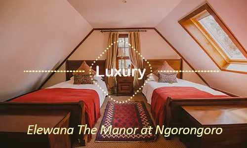 Elewana The Manor at Ngorongoro - Exclusive Safari Experience