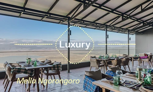 Melia Ngorongoro - Family Safari Room Ngorongoro