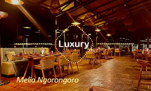 Ngorongoro luxury safari travel Tanzania