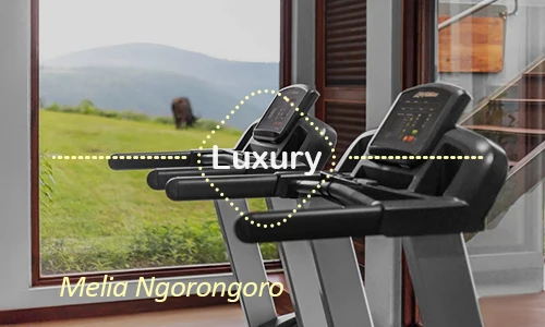 Ngorongoro luxury safari travel Tanzania