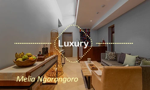 Ngorongoro luxury safari travel Tanzania