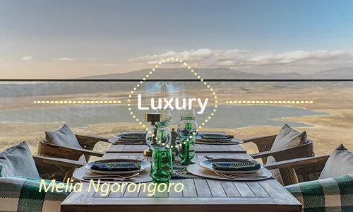Ngorongoro luxury safari travel Tanzania