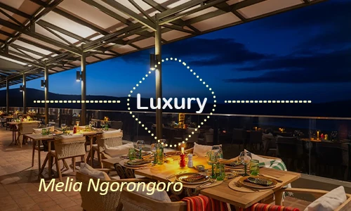 Melia Ngorongoro - Honeymoon Adventure