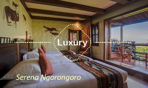 Serena Ngorongoro - Elegant Safari Lodge