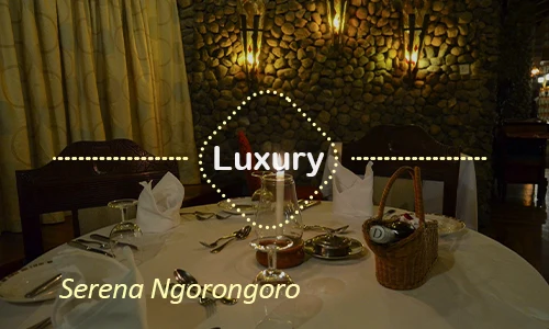 Ngorongoro luxury safari travel Tanzania