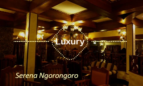 Serena Ngorongoro luxury - Day 11