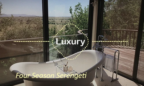 Serengeti luxury safari travel Tanzania