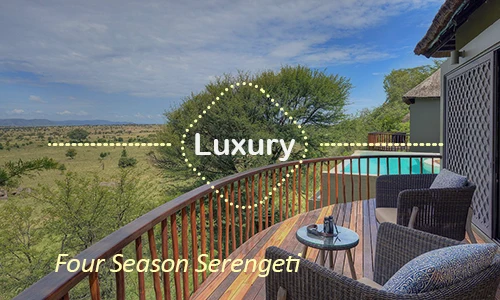 Four Seasons Serengeti - Ultimate Endless Plains Luxury