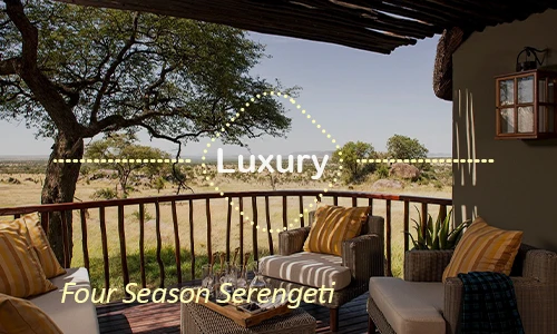 Serengeti luxury safari travel Tanzania