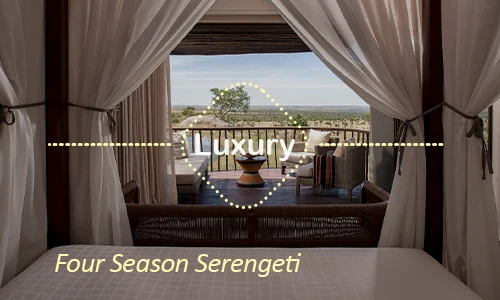 Serengeti luxury safari travel Tanzania