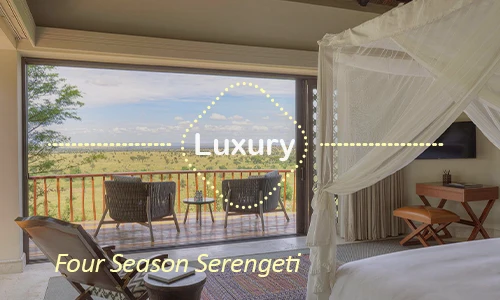 Four Seasons Serengeti - guided experiences