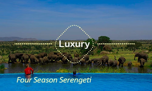 Serengeti luxury safari travel Tanzania