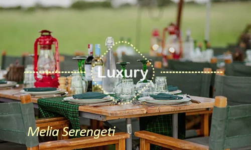 Melia Serengeti - Safari to Ngorongoro