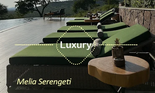 Melia Serengeti luxury - Day 9