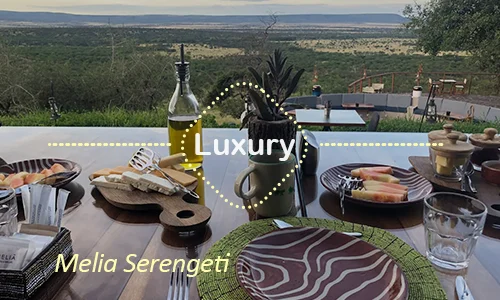 Serengeti luxury safari travel Tanzania