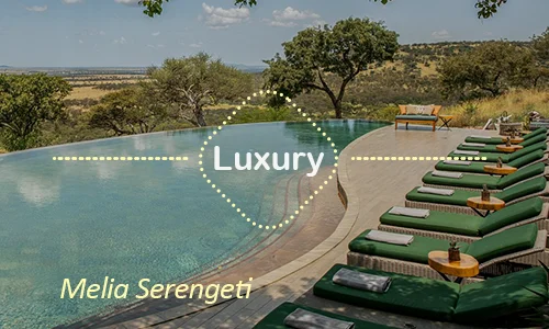 Serengeti luxury safari travel Tanzania
