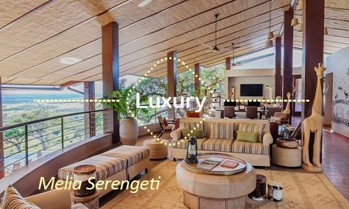 Melia Serengeti - migration viewpoints