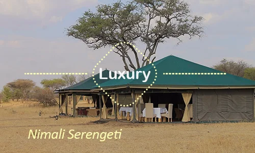Serengeti luxury safari travel Tanzania