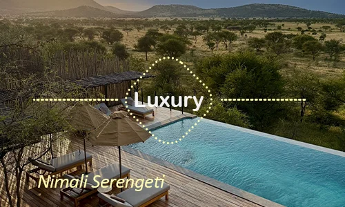 Serengeti luxury safari travel Tanzania