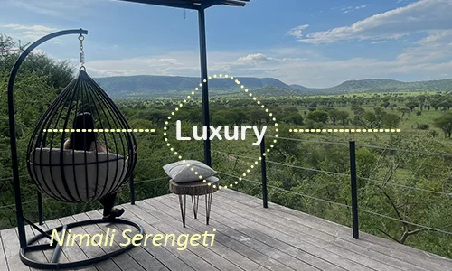 Nimali Serengeti luxury - Day 10