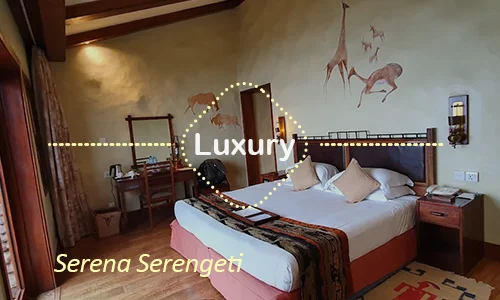Serena Serengeti family suites and grounds