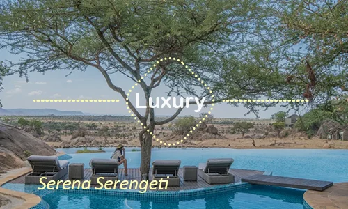 Serena Serengeti - Honeymoon Safari