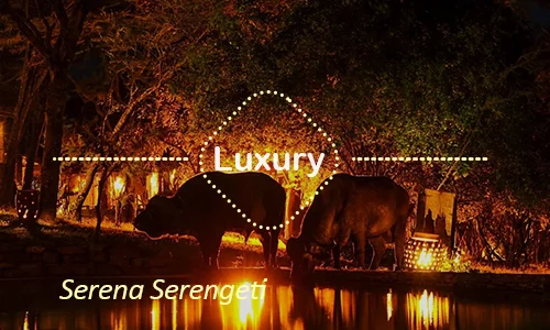 Serena Serengeti - Honeymoon Suite