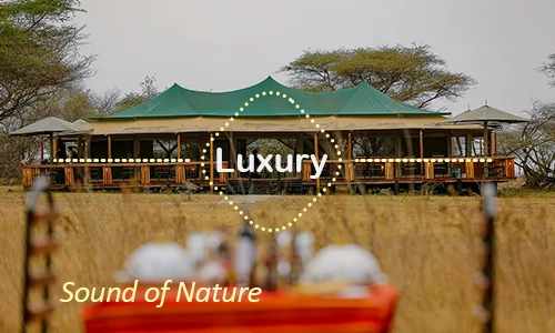 Sound of Nature Serengeti - Final Day Wilderness Retreat