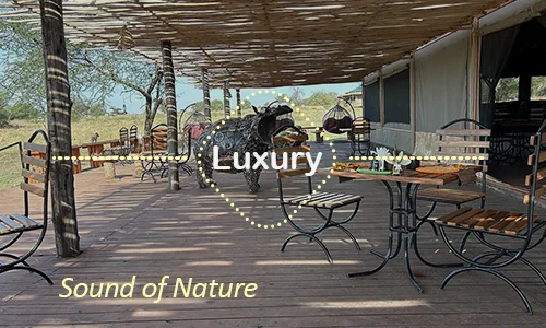 Sound of Nature Serengeti - Another Day Wilderness Retreat