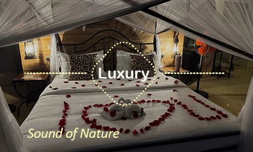 Sound of Nature Serengeti - Romantic Safari