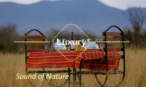 Serengeti luxury safari travel Tanzania