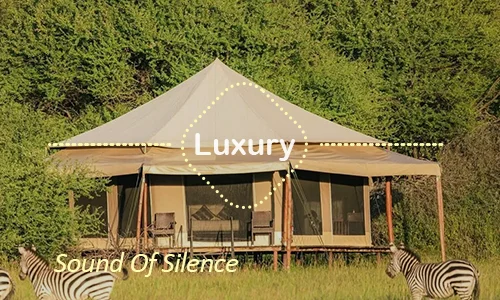 Sound of Silence - luxury Serengeti camp